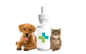 CBD pour Animaux