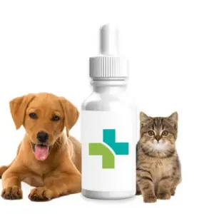 CBD pour Animaux