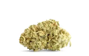 Fleurs CBD