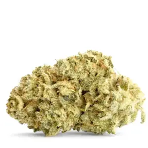 Fleurs CBD