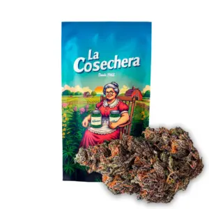 Blue Magic Indoor La Cosechera — Farma CBD France