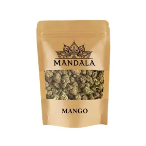 Mango Mini Buds Mandala — Farma CBD France