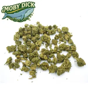 Moby Dick La Cosechera Small Buds — Farma CBD France