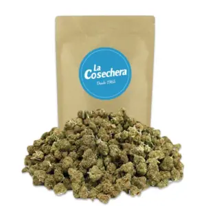 Popcorn Mix La Cosechera — Farma CBD France