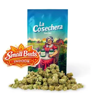 Small Buds Indoor La Cosechera — Farma CBD France