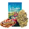Cheesecake Greenhouse La Cosechera · 5 ou 10 g — fleur CBD greenhouse La Cosechera