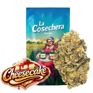 Cheesecake Greenhouse La Cosechera — Farma CBD France