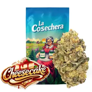Cheesecake Greenhouse La Cosechera · 5 ou 10 g — fleur CBD greenhouse La Cosechera