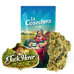 Jack Herer Greenhouse La Cosechera — Farma CBD France