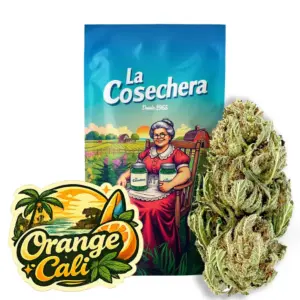 Orange Cali Greenhouse CBD La Cosechera — Farma CBD France