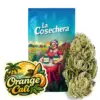 Orange Cali Greenhouse CBD La Cosechera · 5 ou 10 g — fleur CBD greenhouse La Cosechera