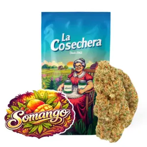 Somago Greenhouse La Cosechera — Farma CBD France