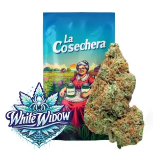 White Widow Greenhouse La cosechera · 5 ou 10 g — fleur CBD greenhouse La Cosechera