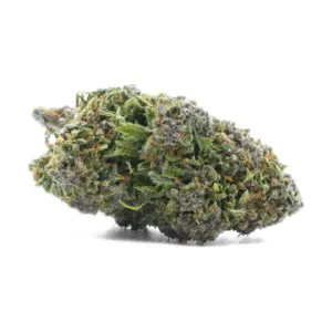 Fleur black afghan cbd Mandala 10 g, têtes compactes vert sombre et brun, variété Black Afghan