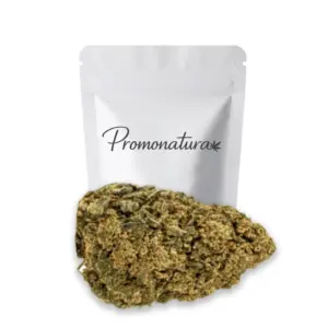 Fleur blueberry cbd Promonatura 10 g aux nuances violacées et bourgeons compacts couverts de trichomes brillants