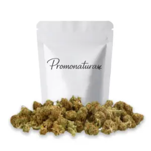 Petites têtes compactes de bubba kush cbd Small Buds Promonatura, vert olive aux nuances violacées, variété Bubba Kush