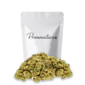 Fleur cheese cbd Promonatura 10 g, têtes denses vert olive aux reflets dorés, variété Cheese au profil aromatique fromagé