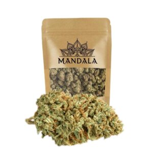 Fleur ganga outdoor cbd Mandala 25 g, têtes vert olive compactes et résineuses de variété Ganga