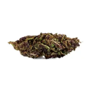 Granddaddy purple 5g cbd Mr Brown, fleur dense aux teintes violacées et pistils orangés de la variété Granddaddy Purple