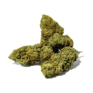 Fleur de green crack cbd Mr Brown, têtes denses vert clair nuancées d'orange, variété Green Crack chanvre certifié UE