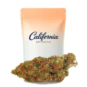 Guava Indoor California Botanics