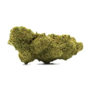 Fleur jack flash cbd Mr Brown 10 g, têtes denses vert olive aux reflets ambrés, variété Jack Flash compacte et résineuse