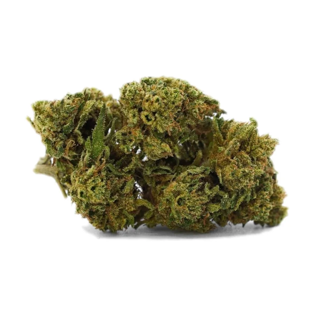 Fleur larry og 5g cbd Mr Brown aux teintes vert olive et trichomes argentés, variété Larry OG compacte et résineuse