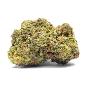 Fleur de pakistan kush cbd Mandala vert olive aux reflets ambrés, tête compacte et résineuse, variété Pakistan Kush