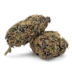 Purple Haze Promonatura