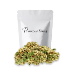 Runtz Promonatura