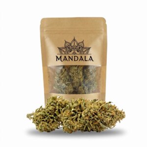 Cogollo compacto de shiva cbd verde oscuro con reflejos violáceos y tricomas cristalinos, flor outdoor de la marca Mandala en 10 g