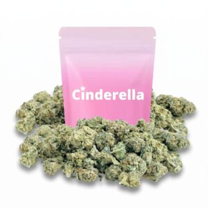 Cogollos de Sugar Baby CBD verdes con tricomas azucarados y pistilos naranjas de la marca Cinderella en small buds