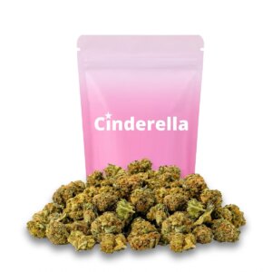 Cogollos Sunset Kiss CBD small buds compactos verde intenso con pistilos anaranjados y resina brillante, variedad Sunset Kiss de la marca Cinderella