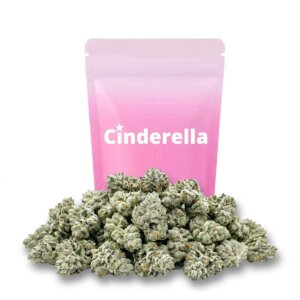 White Party CBD small buds verdes salvia con tricomas brillantes y pistilos naranjas, variedad blanca de la marca Cinderella