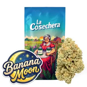 Banana Moon Greenhouse Fleurs CBD La Cosechera