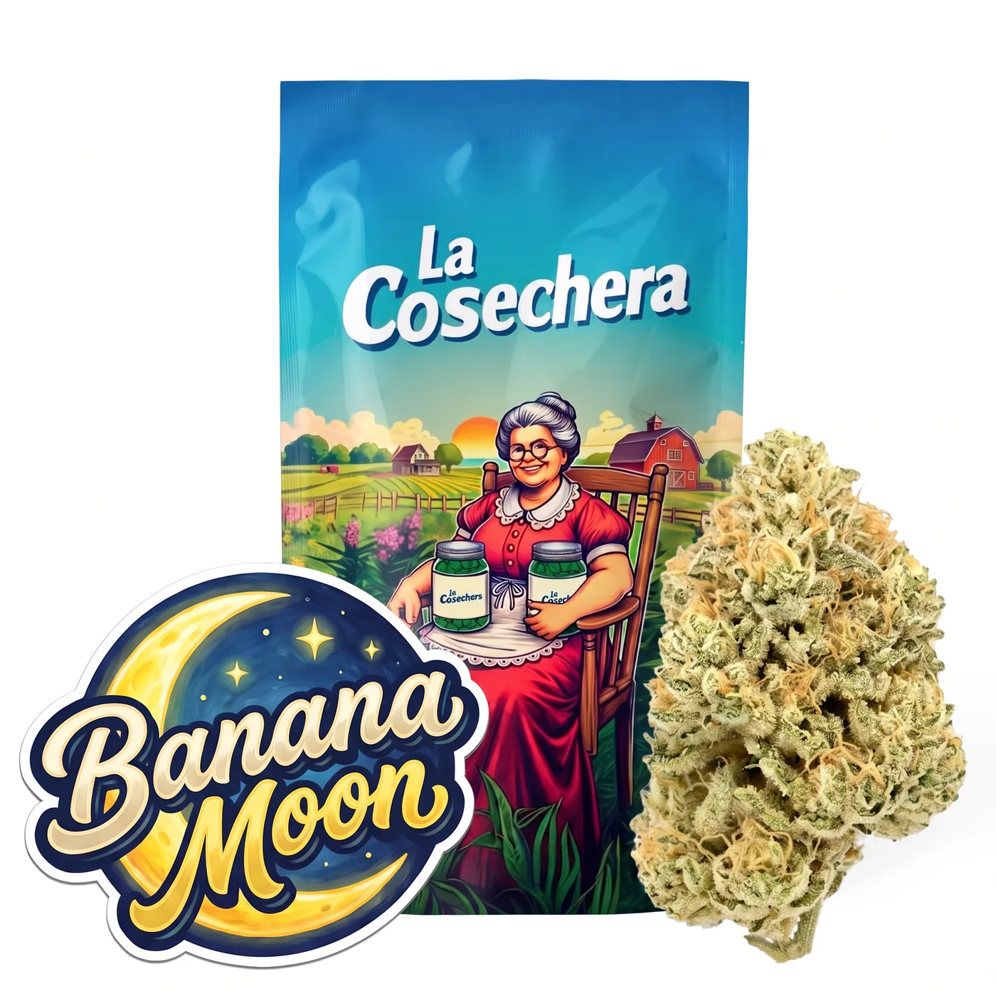 Banana Moon Greenhouse Fleurs CBD La Cosechera