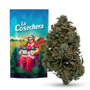 Slurricane Outdoor Fleurs CBD La Cosechera