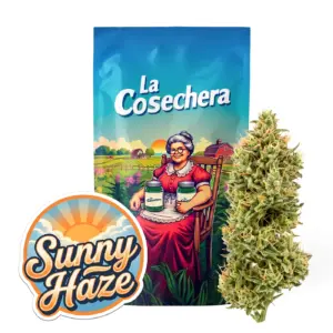 Sunny Haze Greenhouse Fleurs CBD La Cosechera