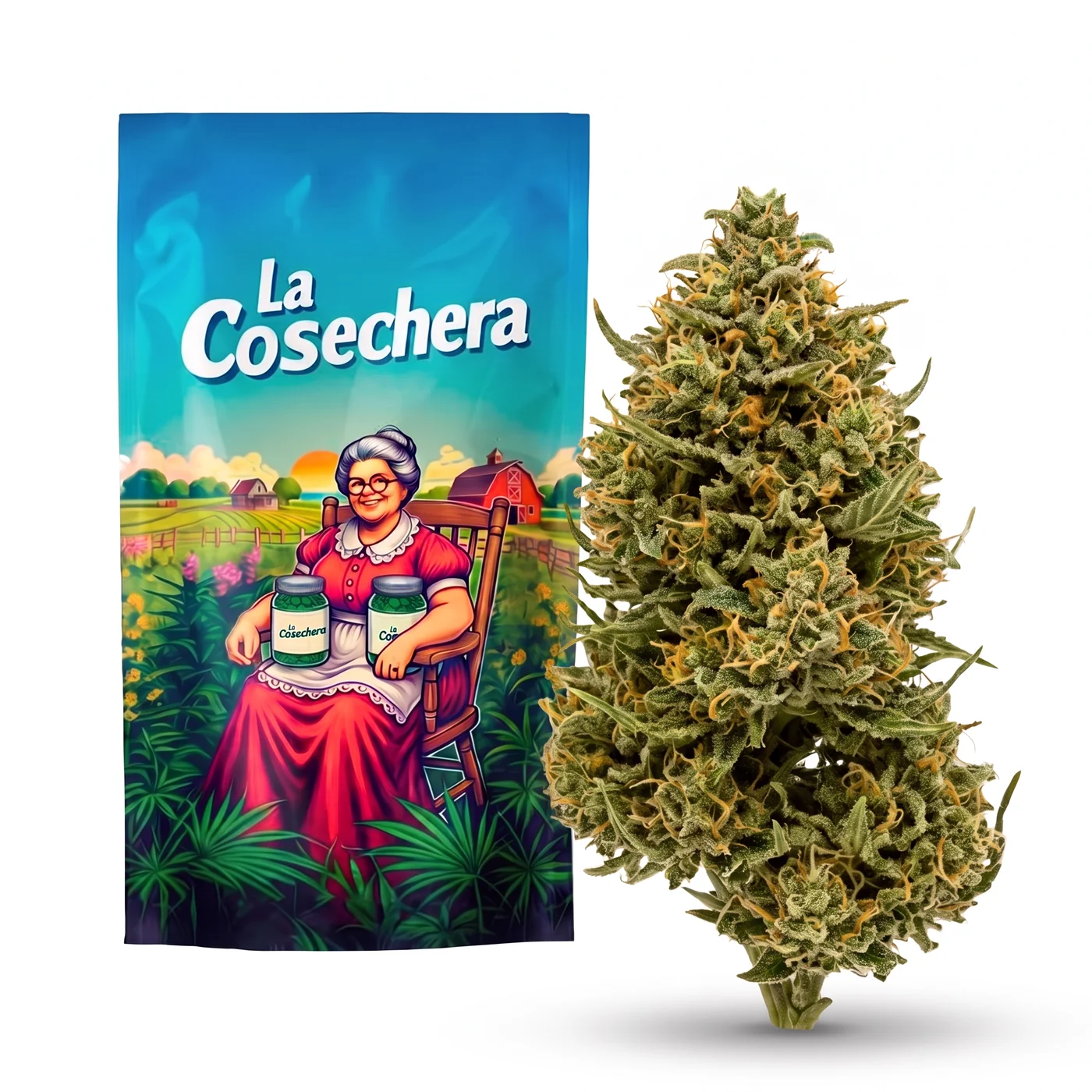 Triangle Kush Outdoor Fleurs CBD La Cosechera