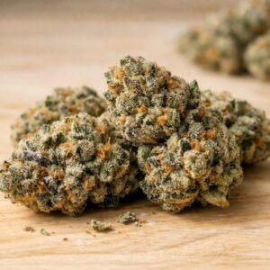 Gros plan sur des têtes de fleurs CBD denses rappelant la variété Girl Scout Cookies, posées sur bois clair